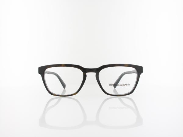 Dolce&Gabbana | DG3333 3209 54 | havana blue