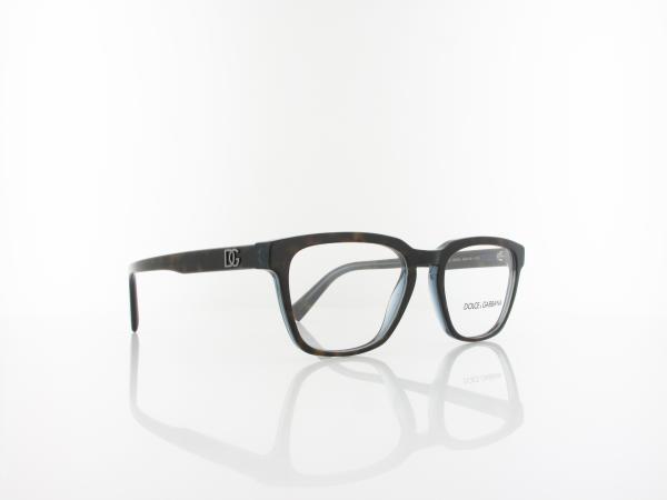 Dolce&Gabbana | DG3333 3209 54 | havana blue