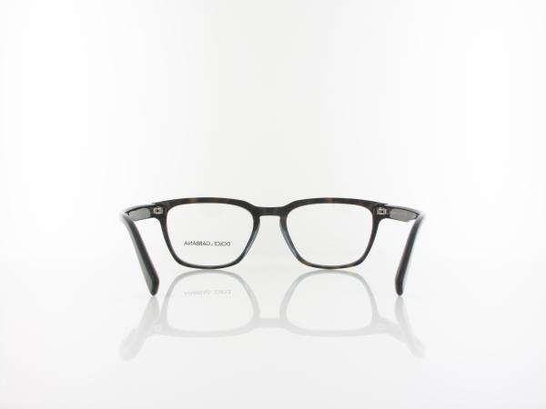 Dolce&Gabbana | DG3333 3209 54 | havana blue