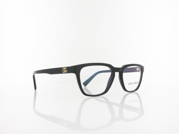 Dolce&Gabbana | DG3333 501 54 | black