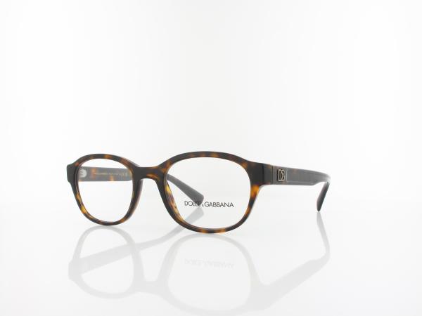 Dolce&Gabbana | DG3339 502 51 | havana