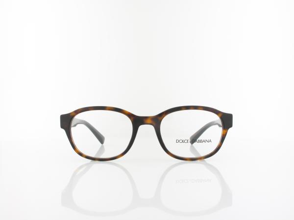 Dolce&Gabbana | DG3339 502 51 | havana