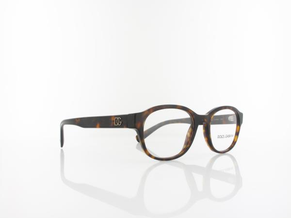 Dolce&Gabbana | DG3339 502 51 | havana