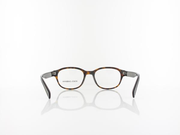 Dolce&Gabbana | DG3339 502 51 | havana