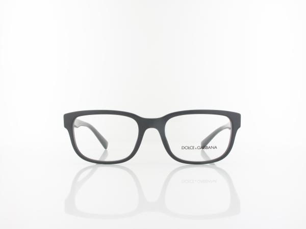 Dolce&Gabbana | DG3341 3090 54 | grey