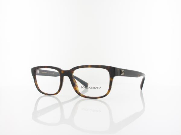 Dolce&Gabbana | DG3341 502 54 | havana