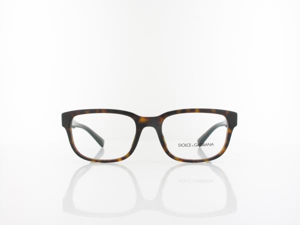 Dolce&Gabbana | DG3341 502 54 | havana