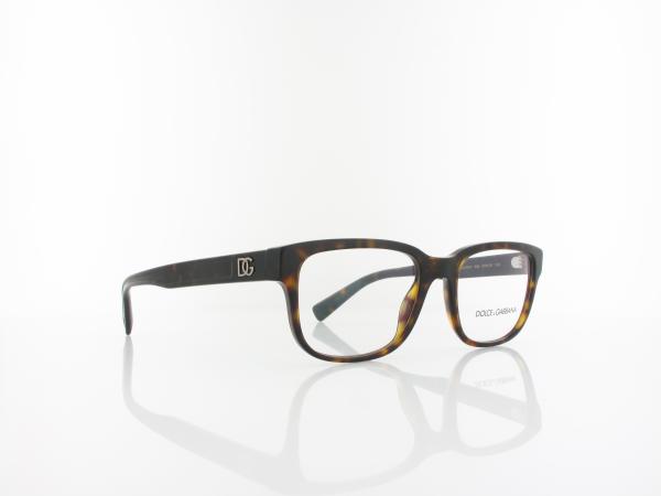 Dolce&Gabbana | DG3341 502 54 | havana