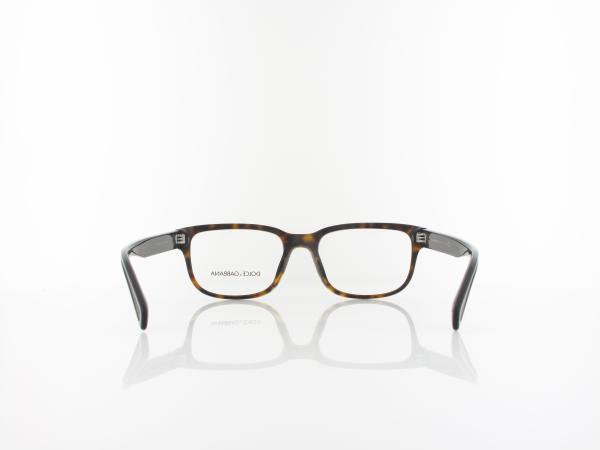 Dolce&Gabbana | DG3341 502 54 | havana