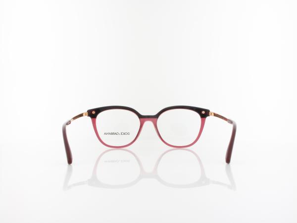Dolce&Gabbana | DG3346 3247 50 | bordeaux transparent bordeaux