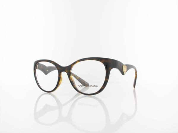 Dolce&Gabbana | DG5069 502 51 | havana