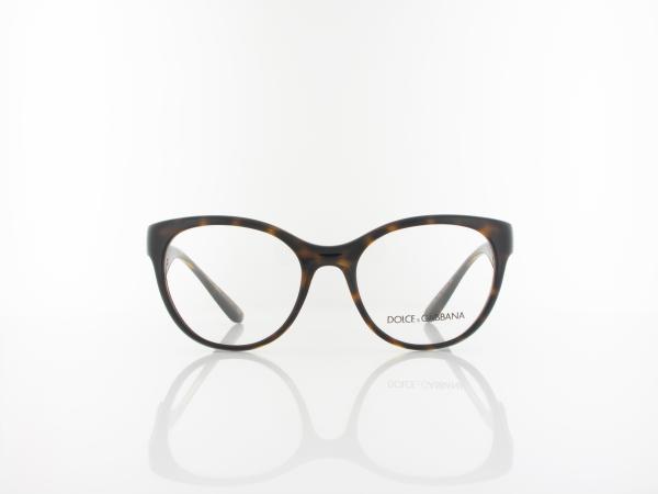Dolce&Gabbana | DG5069 502 51 | havana