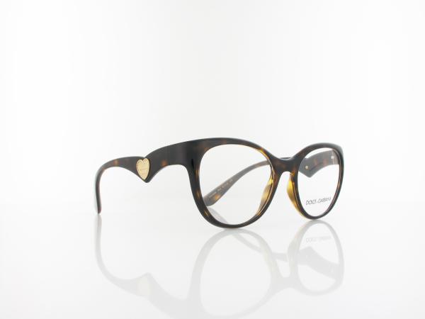 Dolce&Gabbana | DG5069 502 51 | havana
