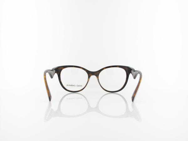 Dolce&Gabbana | DG5069 502 51 | havana