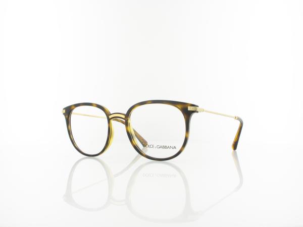 Dolce&Gabbana | DG5071 502 50 | havana