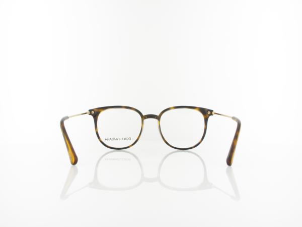Dolce&Gabbana | DG5071 502 50 | havana