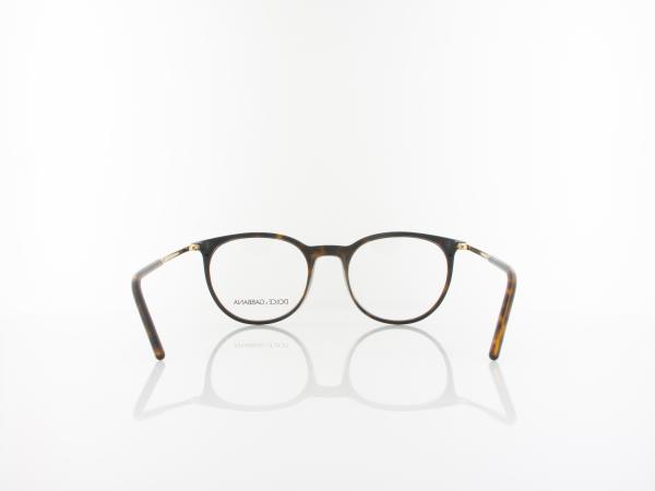 Dolce&Gabbana | DG5074 502 52 | havana