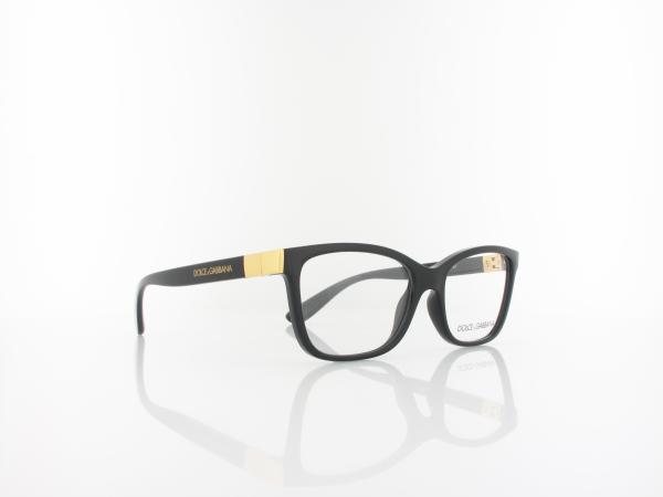 Dolce&Gabbana | DG5077 501 52 | black