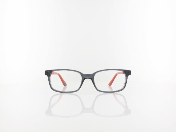 Spiderman | DS AM009 C93 48 | grey