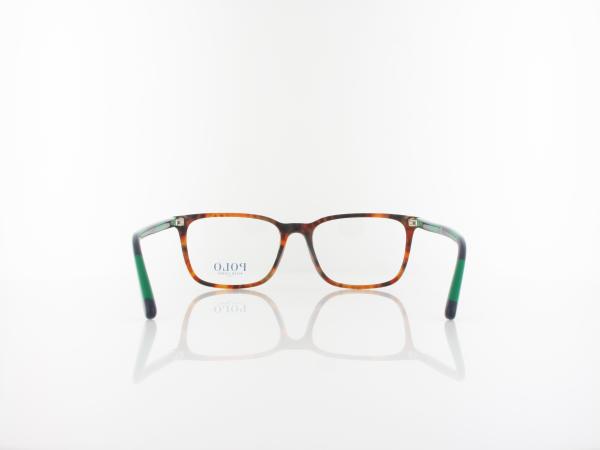 Polo Ralph Lauren | PH2234 5017 54 | shiny jerry havana