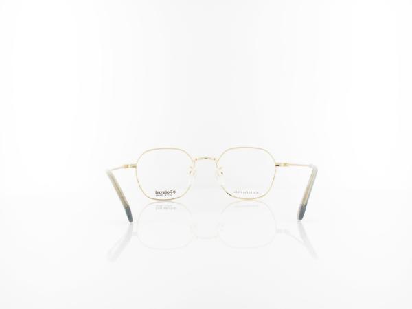 Polaroid | PLD D360/G 2F7 48 | gold grey
