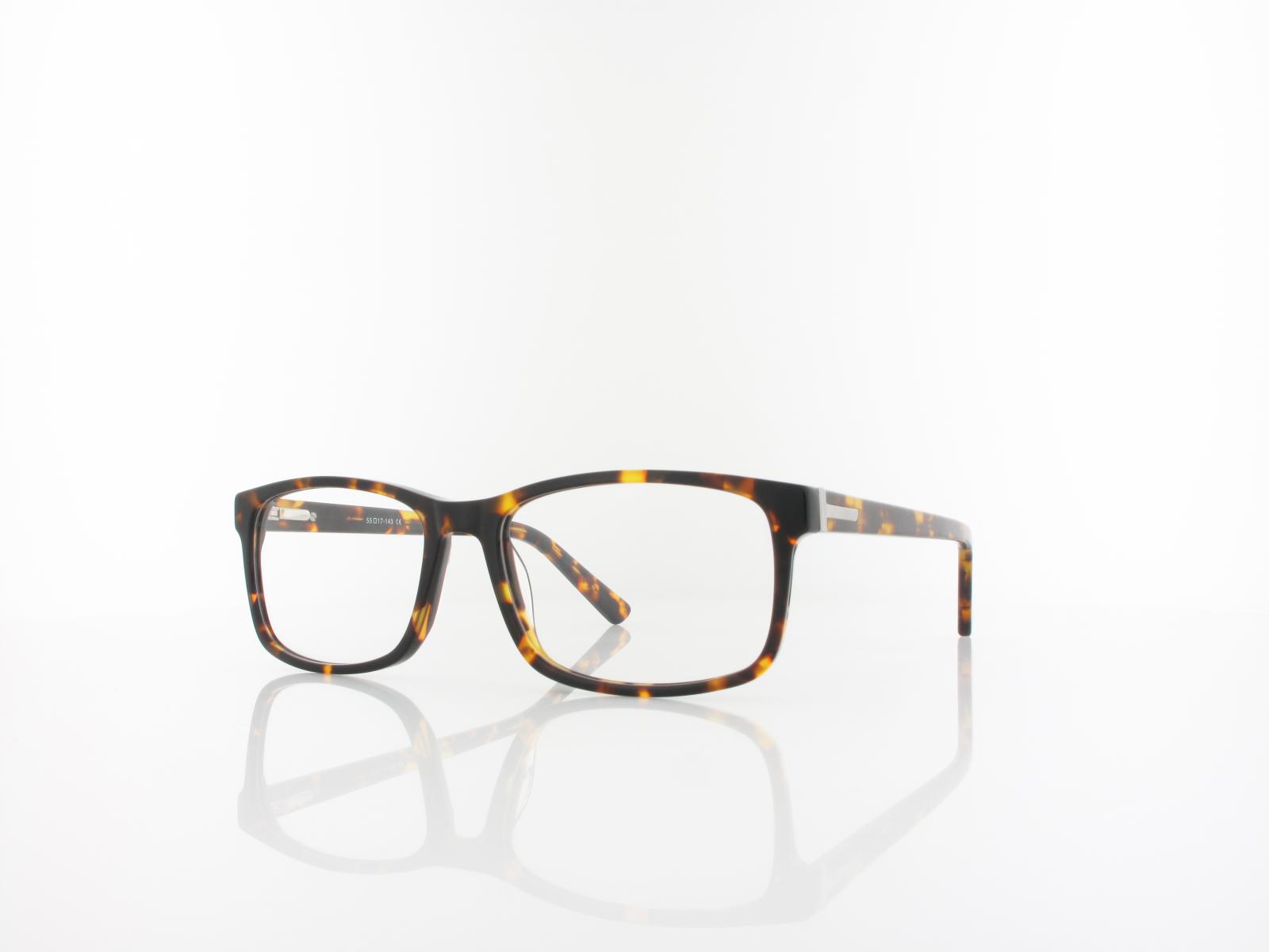 Brilando | A56 A 55 | turtle