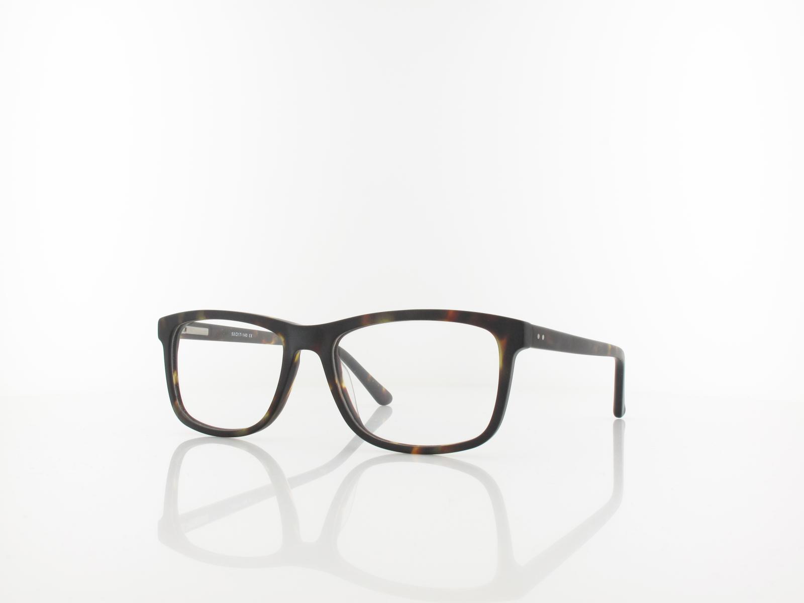 Brilando | A72 C 53 | turtle