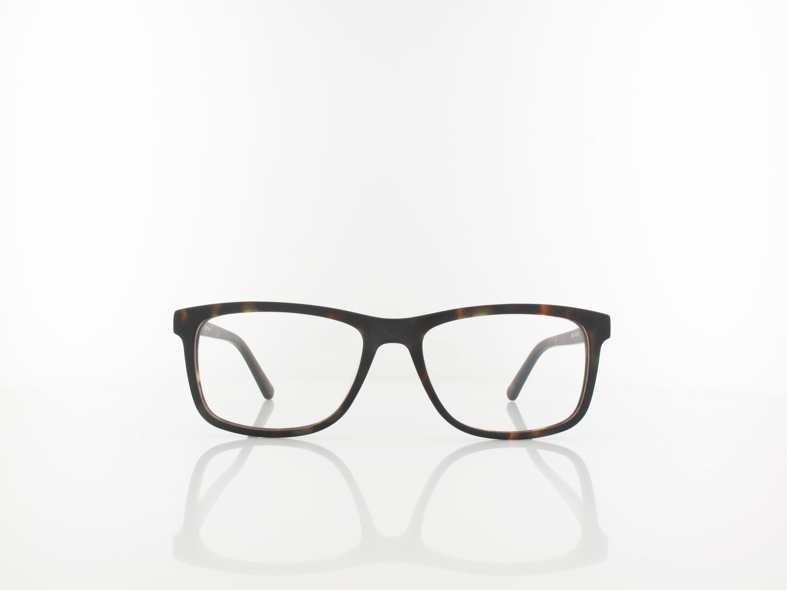 Brilando | A72 C 53 | turtle
