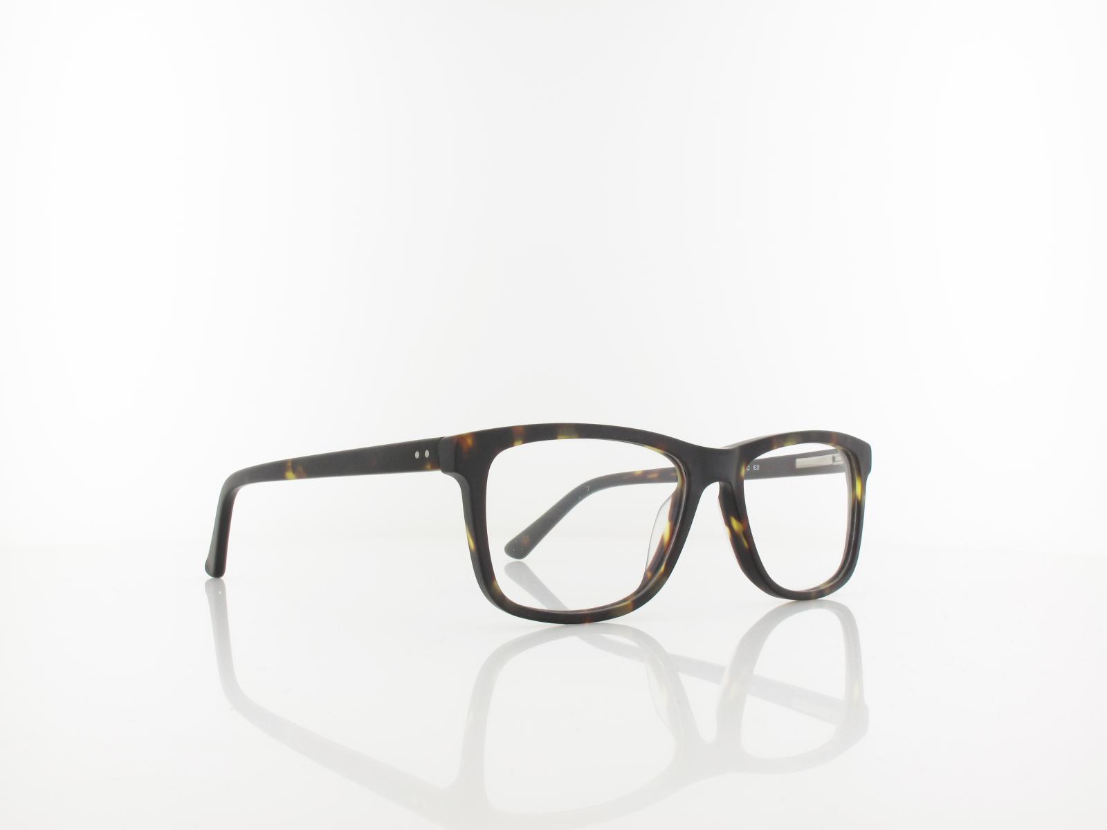Brilando | A72 C 53 | turtle