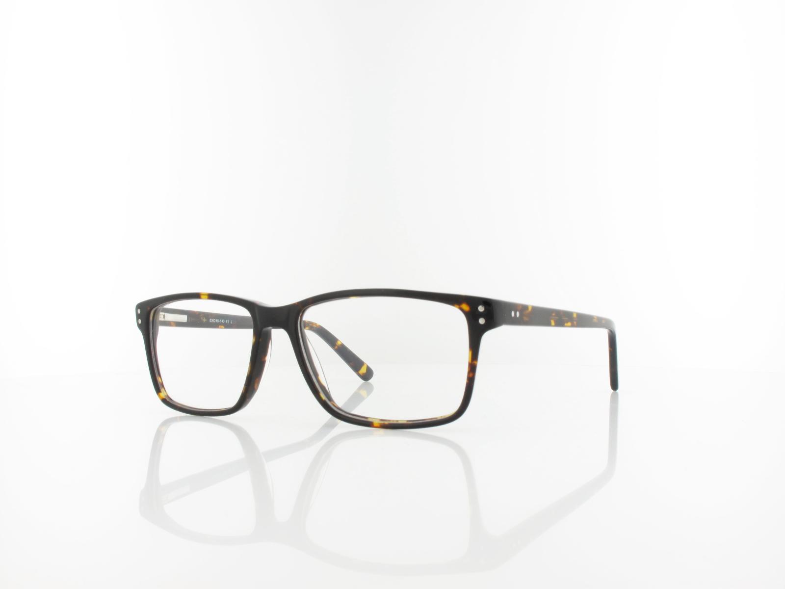 Brilando | A85 A 53 | turtle
