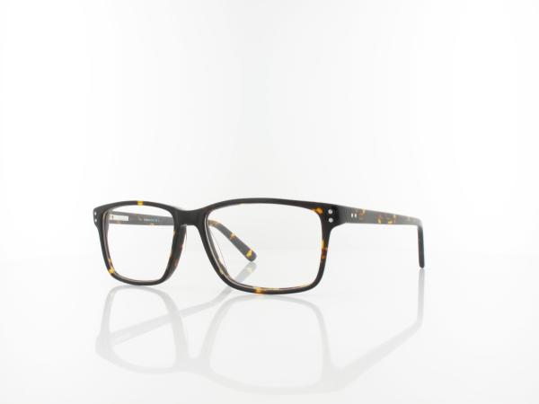 Brilando | A85 A 53 | turtle
