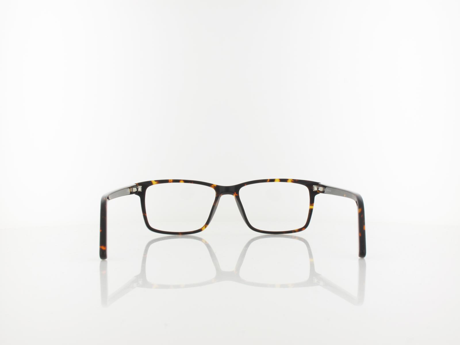 Brilando | A93 A 53 | turtle brown