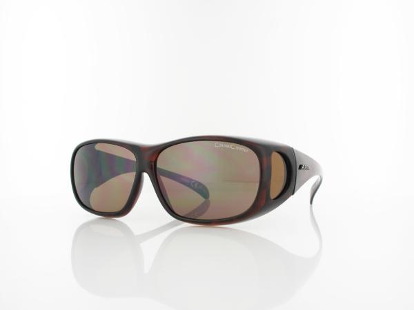 ALPINA | Overview A8354 391 64 | havana / cm platinum
