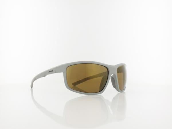 ALPINA | Defy A8645 321 60 | moongrey matt / bronce mirror