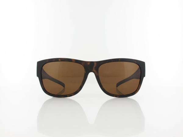 HIS polarized | HP79100-2 58 | dark havana / brown polarized
