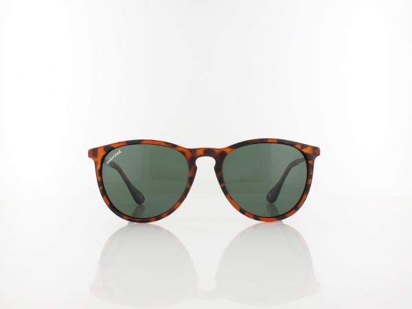 Brilando | MP24 B 53 | turtle / green polarized