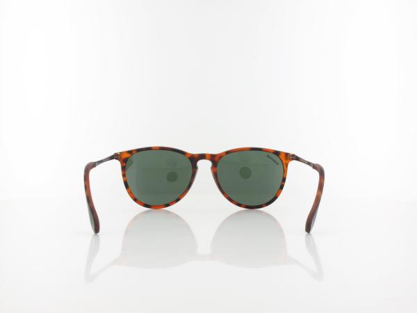 Brilando | MP24 B 53 | turtle / green polarized