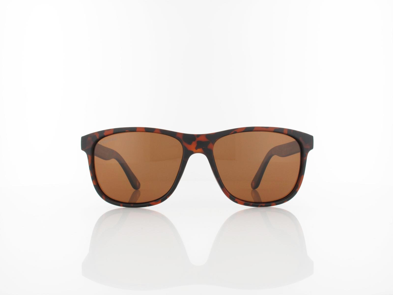 Brilando | MP48 B 58 | matte havana / brown