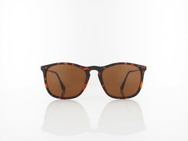 Brilando | S34 F 54 | matte havana / brown