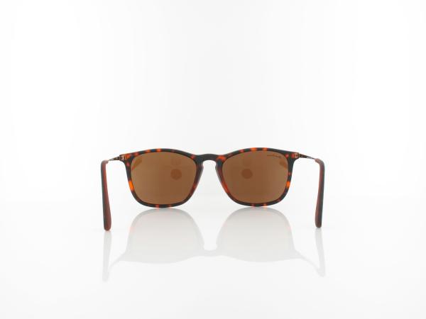 Brilando | S34 F 54 | matte havana / brown