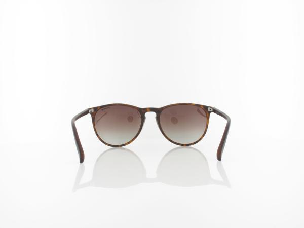 Polaroid | PLD 6003/N/S V08/LA 54 | havana / brown gradient polarized ds