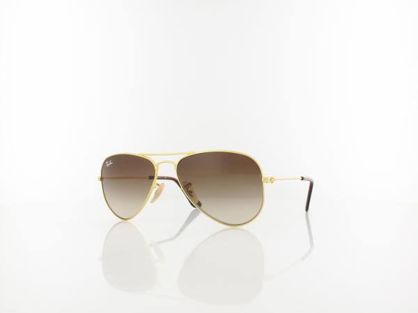 Ray Ban | RJ9506S 223/13 52 | gold / brown gradient