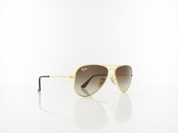 Ray Ban | RJ9506S 223/13 52 | gold / brown gradient