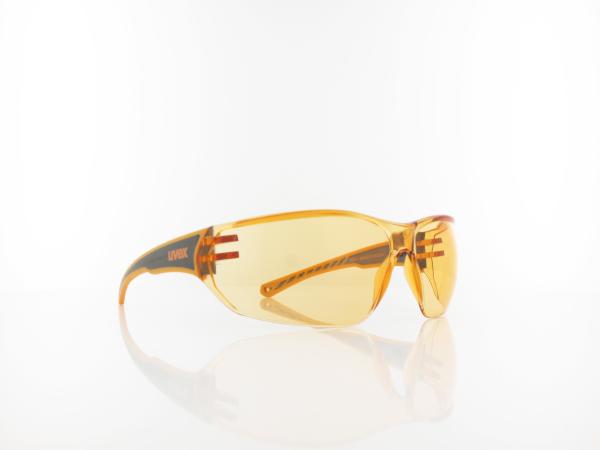 UVEX | Sportstyle 204 S530525 3112 72 | orange / orange