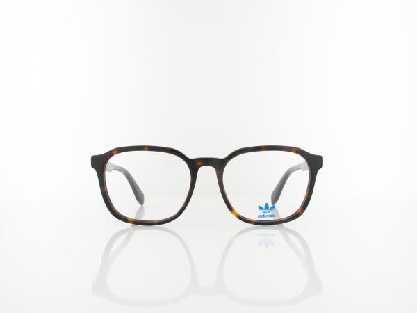 Adidas | OR5045 052 52 | dark havana
