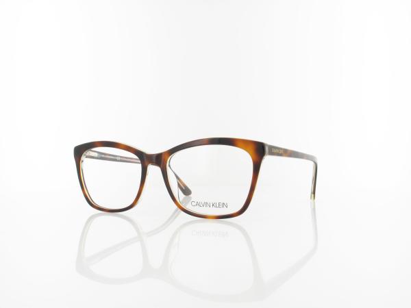 Calvin Klein | CK19529 251 54 | soft tortoise light blue