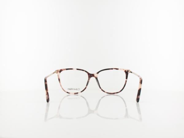 Calvin Klein | CK22500 663 54 | rose tortoise