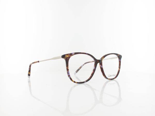 Calvin Klein | CK5462 222 54 | tortoise purple