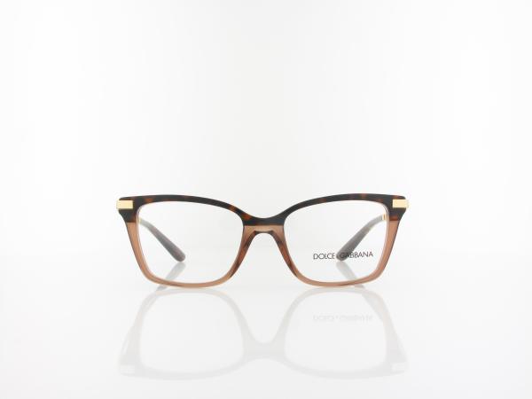 Dolce&Gabbana | DG3345 3256 50 | havana transparent brown
