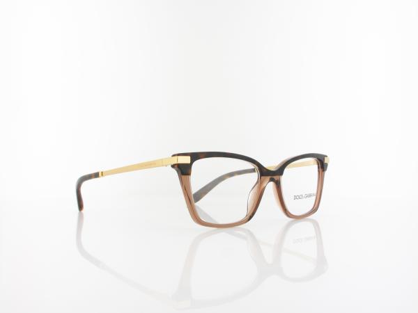 Dolce&Gabbana | DG3345 3256 50 | havana transparent brown